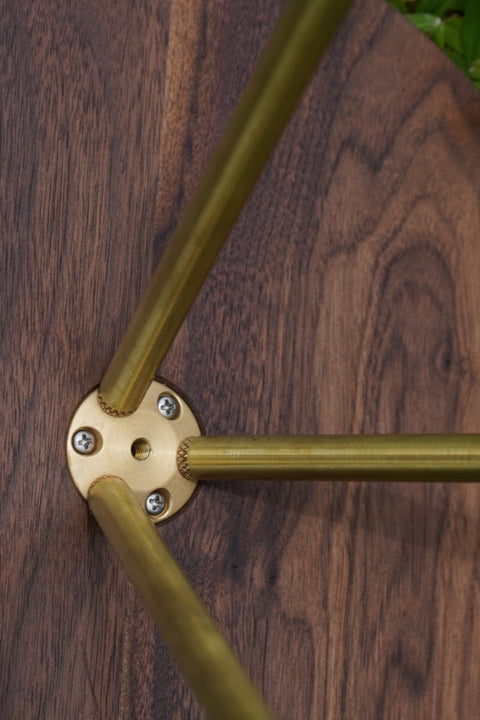 預購 FLYING DISK & BRASS LEGS