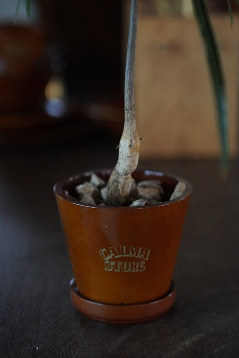 AMARILLO AMARILLO PLANTER PLATE CALMA VER. 接水盤