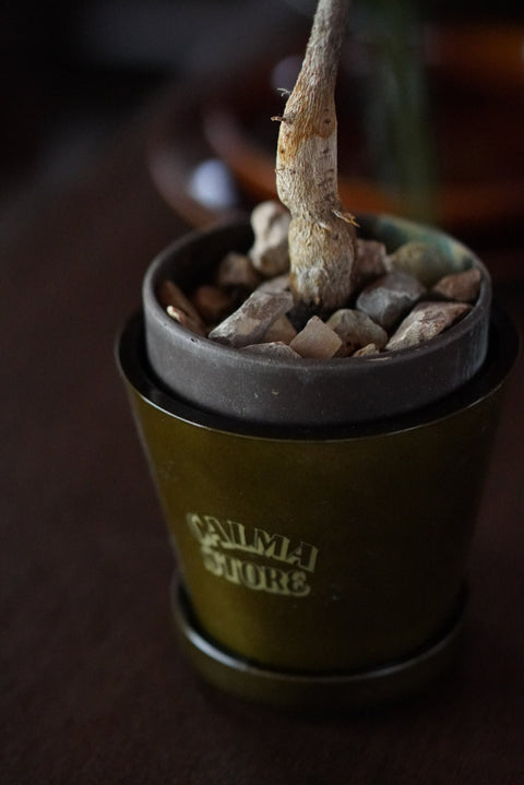 AMARILLO PLANTER L CALMA VER. 盆器 （含接水盤）